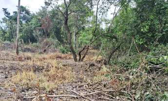 Imagem 6: Sítios e chacaras Anápolis