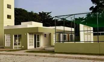 Imagem 6: Evidence Jabotiana [11952