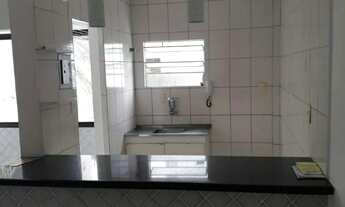 Imagem 4: ACUPE DE BROTAS 1/4