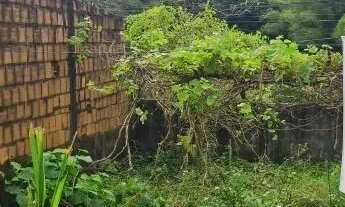 Imagem 5: Casa para vender com 2 quartos em Igarassu,Monjope