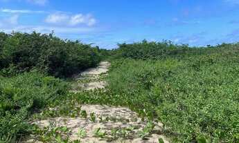 Imagem 5: Terreno à venda na Barra de Sto Antônio