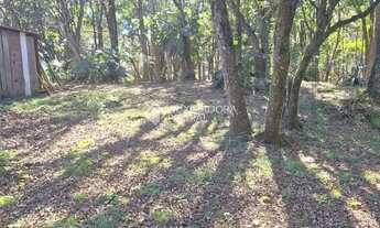 Imagem 6: Terreno em São Virgílio, Caxias do Sul