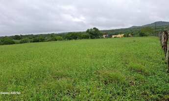 Imagem 6: Linda fazenda de aproximadas, 107t, às margens da Br 324 Norte, toda no capim