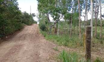 Imagem 6: Chácara 3 alqueires em Vianópolis