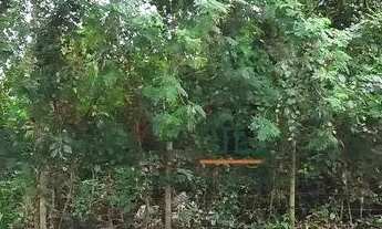 Imagem 4: Terreno à venda, 900 m² por R$ 1.100.000,00 - Engenho do Mato - Niterói/RJ