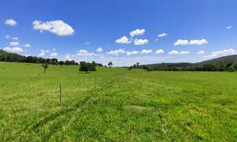 Imagem 5: Fazenda 36,0 alqueires em pecuária, 14 km de Ituiutaba MG