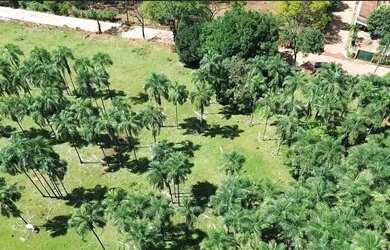 Imagem 6: Chácara Plana e bem localizada a 800 metros da GO 070