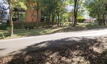 Imagem 5: Terreno para Venda em Nova Petrópolis, Juriti