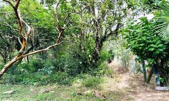 Imagem 7: CMCF 2 Lote 612651033-85