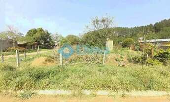 Imagem: Terreno à Venda - Mato Alto