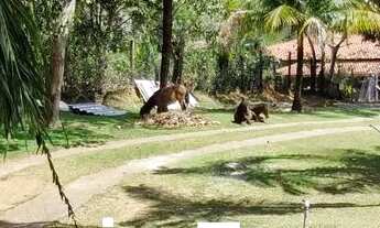 Imagem 5: Venda Luxuosa Chácara - Retiro do Congo?