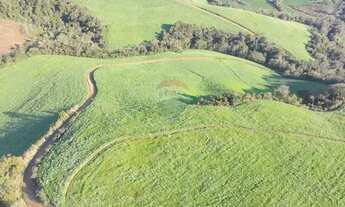 Imagem: Propriedade Agrícola 57,5 Ha com Ótimo