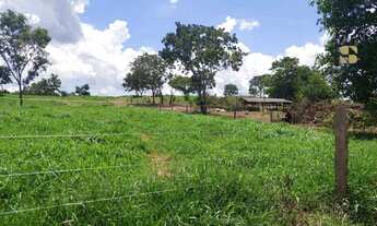 Imagem 4: Fazenda à venda em distrito da Guia - MT
