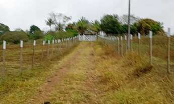 Imagem 2: Fazenda Canaã Completa - 21 Tarefas - Aceito Trocas