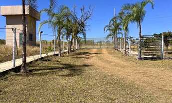 Imagem 7: Chácara Incra 7 apenas 20km de Taguatinga