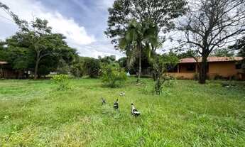 Imagem 2: Chácara com 6,8 hectares no DF