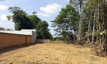 Imagem 3: Terreno no condomínio bosque Tarumã