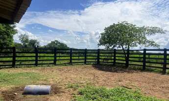Imagem 3: Fazenda de 1.200 hectares sentido Cáceres MT