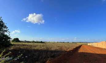 Imagem 3: Terrenos para chácara