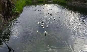 Imagem: Vendo ou troco