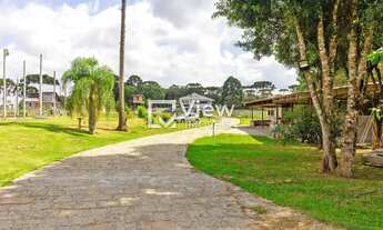 Imagem 4: EXCELENTE CHÁCARA COM CASA MOBILIADA NA COLÔNIA MURICI EM SÃO JOSÉ DOS PINHAIS