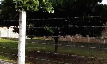 Imagem: Lote Terreno Esquina - São Brás - Em frente