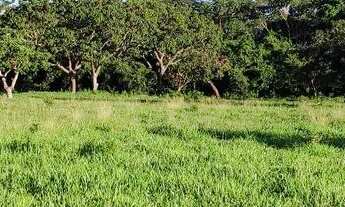 Imagem 3: Chácara em caldazinha