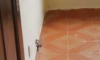 Imagem 6: Alugo Apartamento 02 Quartos