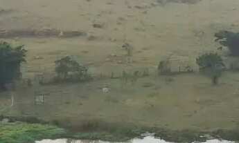 Imagem 6: Apartamento à Venda 3 Dormitórios (1 Suíte