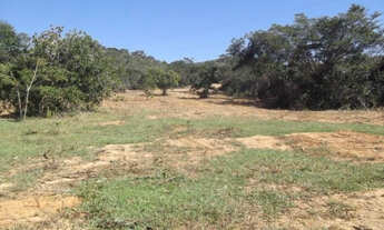 Imagem 5: Serra do Cipó,terreno de 85.000m²com nascente córrego nos fundos(Temos varias opções