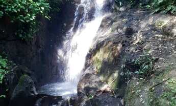 Imagem: Linda área de 50 alqueires no centro