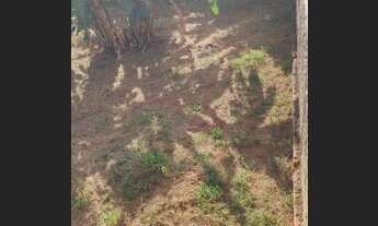 Imagem: Tatuí Santa Rita de Cássia