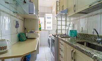 Imagem 6: Samambaia (Norte