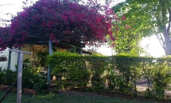 Imagem 7: Espetacular Sítio, 02 Alqueires. Sentido Uberara. BR 050. 23 KM de Uberlândia/MG