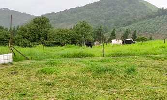 Imagem 6: Sítio maravilhoso