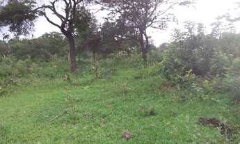 Imagem 5: Oportunidade Formar Seu Sitio Dos Sonhos!!! 11 Hectares 198.500