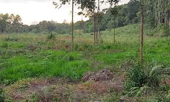 Imagem 6: Sítio 10 hcts, com escritura, no Morro Grande, Rolante