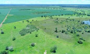 Imagem 7: Fazenda - Peixe (TO