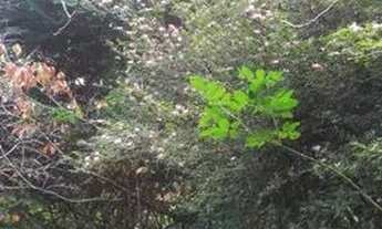 Imagem 2: Casa de Condominio em Parque Delfim Verde - Itapecerica da Serra, SP