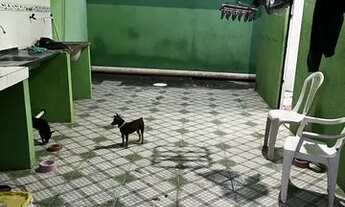 Imagem 5: Aluga-se apartamento