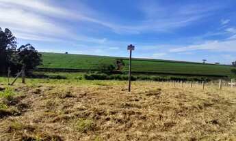 Imagem 7: Terreno com 2.345,52m², próximo ao Centro de Jardim Alegre/PR