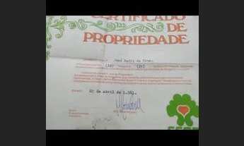 Imagem 4: Lotes Terreno / lote com venda por R$65.000