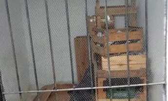 Imagem 3: Ponto ferinha do tabuleiro