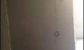 Imagem 3: Alugo casa Casa com 1 dormitório