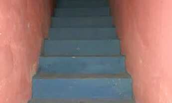 Imagem 6: Aluga-se casa no Rosa Maria