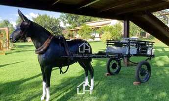 Imagem 2: Casa de Condomínio