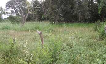 Imagem 7: Fazenda Fazenda / sítio com venda por R$700.000