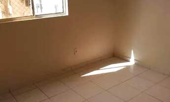 Imagem 7: Ideal samambaia no 3 andar escada peço caução