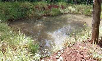 Imagem 4: LINDA CHACARA COM 5,3 HECTARES SENTIDO ROCHEDINHO EM CAMPO GRANDE MS 5462QM