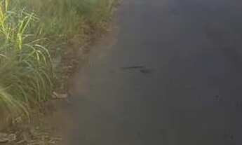 Imagem 3: 2 lotes juntos jardim buriti sereno 405 metros cada um perto da upa buriti sereno